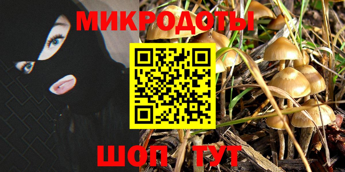 Галлюциногенные грибы ЛСД Махачкала