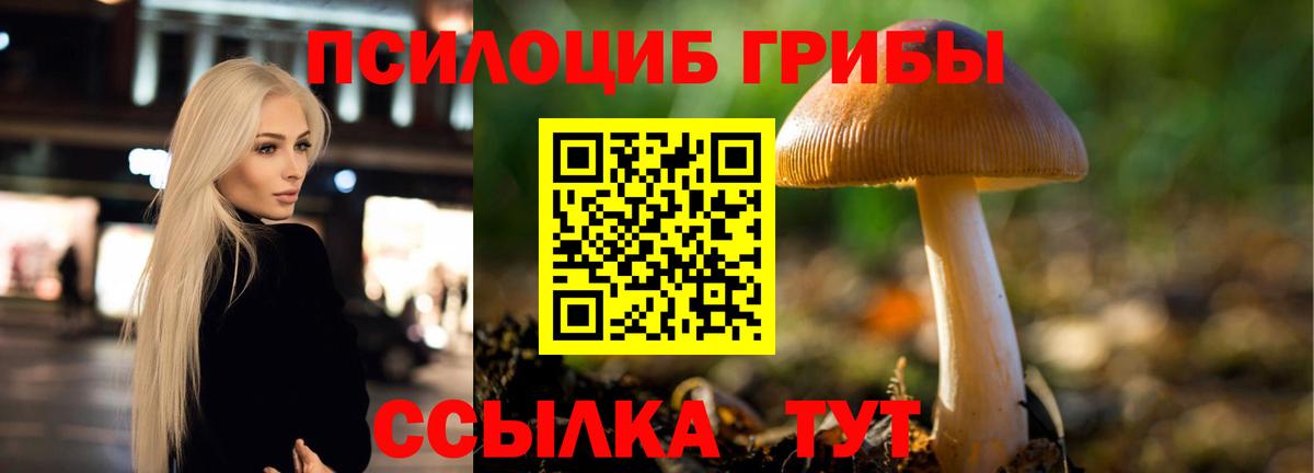 Махачкала  Галлюциногенные грибы Psilocybine cubensis  Вход с VPN  Галлюциногенные грибы MAGIC MUSHROOMS 